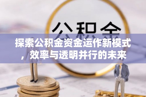洱源探索公积金资金运作新模式，效率与透明并行的未来