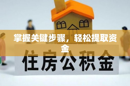 洱源掌握关键步骤，轻松提取资金