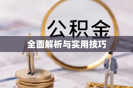 洱源全面解析与实用技巧