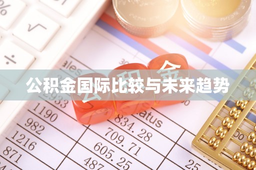 洱源公积金国际比较与未来趋势