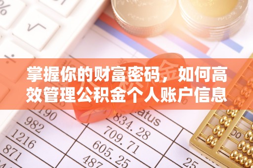 洱源掌握你的财富密码，如何高效管理公积金个人账户信息