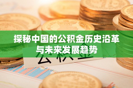 洱源探秘中国的公积金历史沿革与未来发展趋势