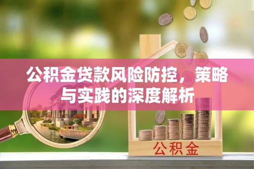 洱源公积金贷款风险防控，策略与实践的深度解析