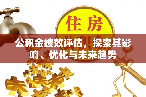 洱源公积金绩效评估，探索其影响、优化与未来趋势