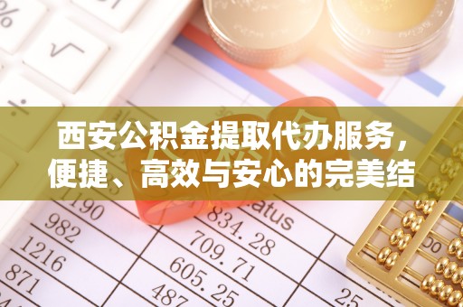 洱源西安公积金提取代办服务，便捷、高效与安心的完美结合