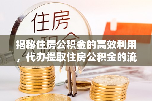 洱源揭秘住房公积金的高效利用，代办提取住房公积金的流程与技巧