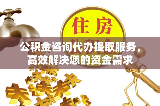 洱源公积金咨询代办提取服务，高效解决您的资金需求