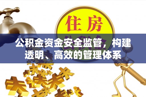 洱源公积金资金安全监管，构建透明、高效的管理体系