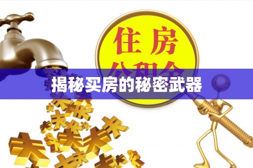 洱源揭秘买房的秘密武器