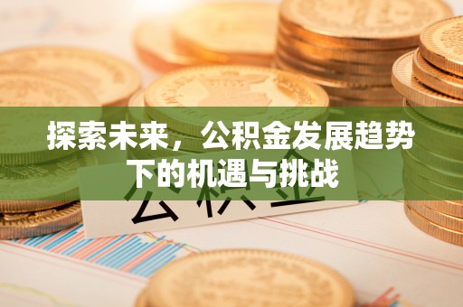 洱源探索未来，公积金发展趋势下的机遇与挑战