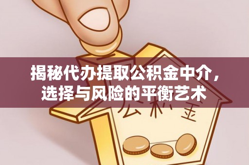 洱源揭秘代办提取公积金中介，选择与风险的平衡艺术