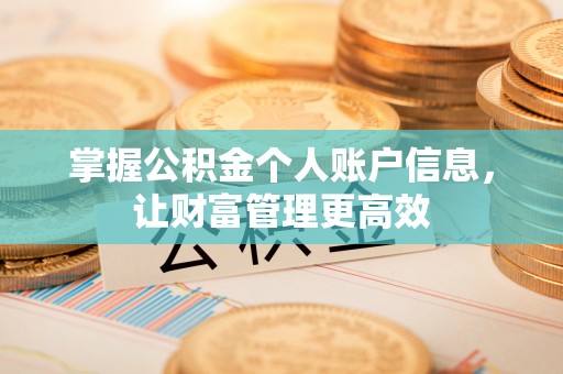 洱源掌握公积金个人账户信息，让财富管理更高效