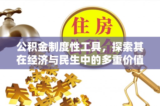 洱源公积金制度性工具，探索其在经济与民生中的多重价值