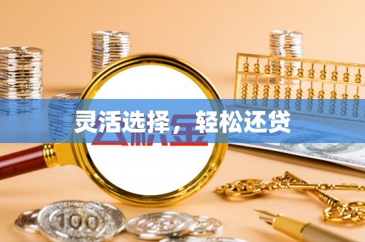 洱源灵活选择，轻松还贷