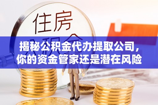 洱源揭秘公积金代办提取公司，你的资金管家还是潜在风险？