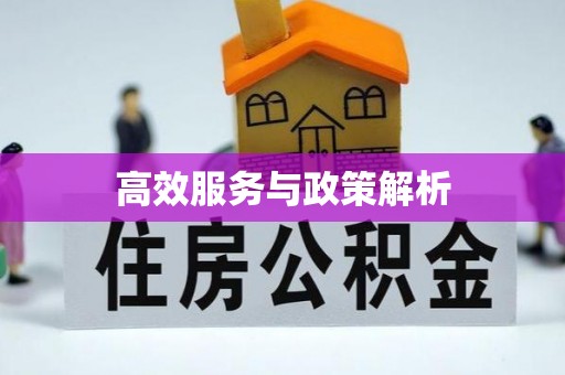 洱源高效服务与政策解析