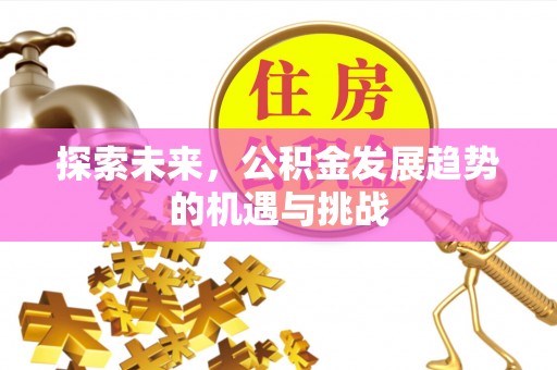 洱源探索未来，公积金发展趋势的机遇与挑战