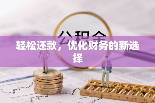洱源轻松还款，优化财务的新选择
