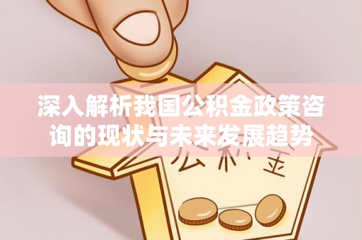 洱源深入解析我国公积金政策咨询的现状与未来发展趋势
