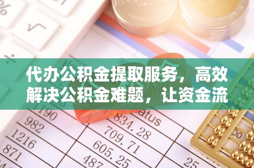 洱源代办公积金提取服务，高效解决公积金难题，让资金流动更自由