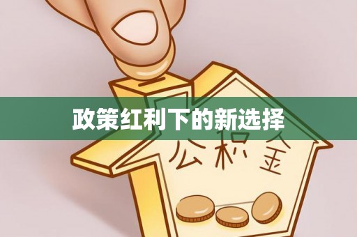 洱源政策红利下的新选择