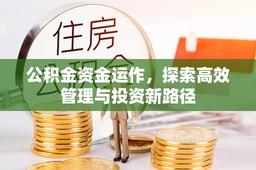 洱源公积金资金运作，探索高效管理与投资新路径