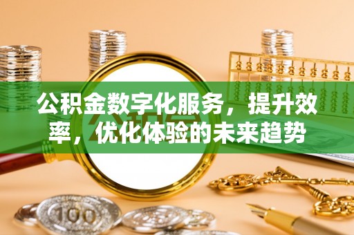 洱源公积金数字化服务，提升效率，优化体验的未来趋势