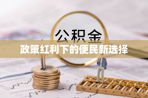 洱源政策红利下的便民新选择