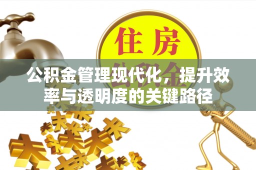 洱源公积金管理现代化，提升效率与透明度的关键路径