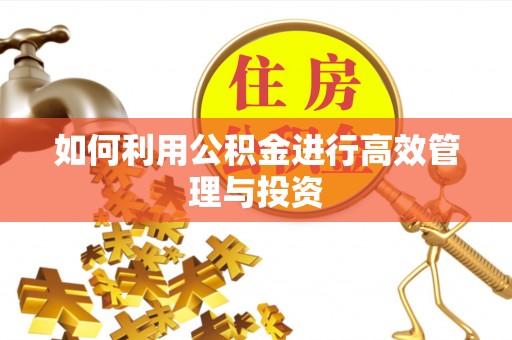 洱源如何利用公积金进行高效管理与投资