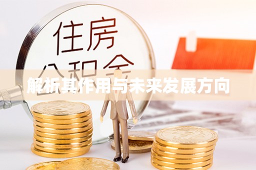 洱源解析其作用与未来发展方向