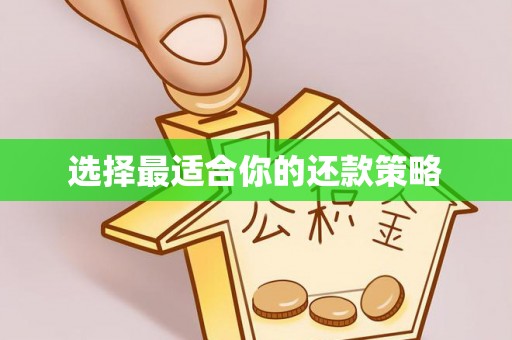 洱源选择最适合你的还款策略