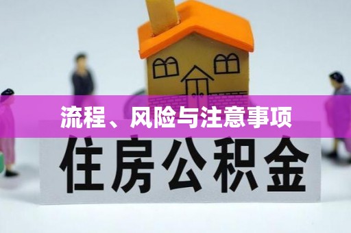 洱源流程、风险与注意事项