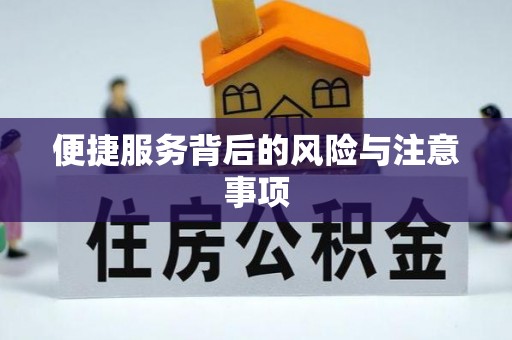洱源便捷服务背后的风险与注意事项